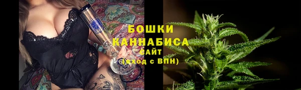 2c-b Горнозаводск