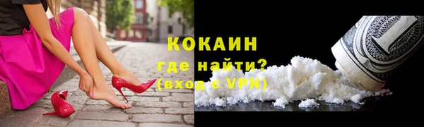 mdpv Горно-Алтайск