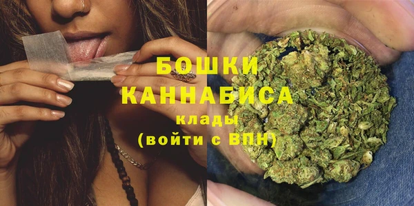 МДПВ Горняк
