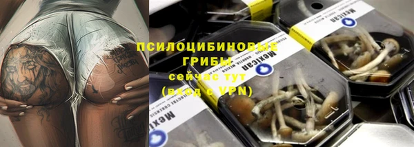 2c-b Горнозаводск
