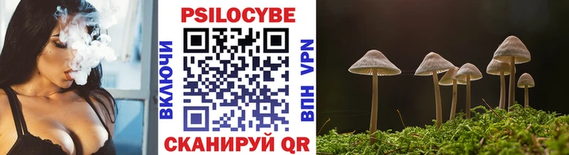 Галлюциногенные грибы мухоморы  Купить где  Нижние Серги 