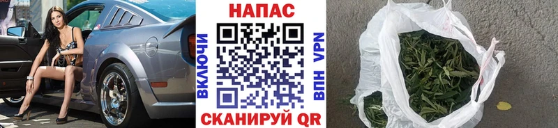 Канабис сатива  Купить закладки  Нижние Серги 